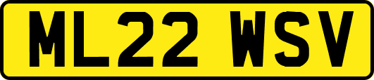 ML22WSV