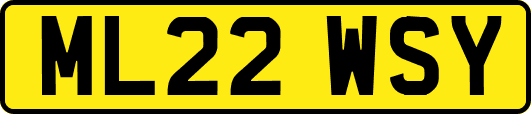 ML22WSY