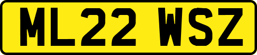 ML22WSZ