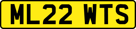 ML22WTS