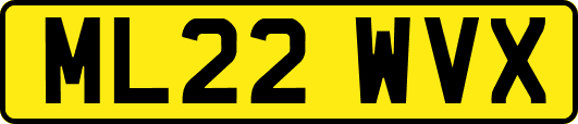 ML22WVX