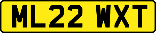 ML22WXT