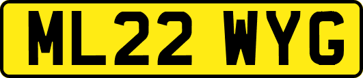 ML22WYG