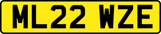 ML22WZE