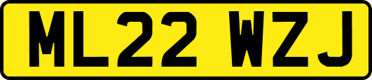 ML22WZJ