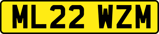 ML22WZM