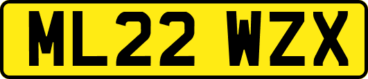 ML22WZX