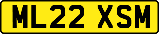 ML22XSM