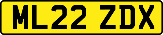 ML22ZDX
