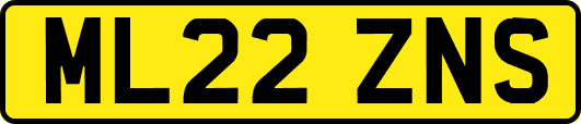 ML22ZNS