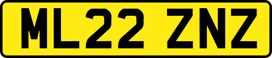 ML22ZNZ