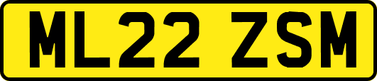ML22ZSM