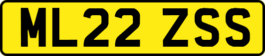 ML22ZSS