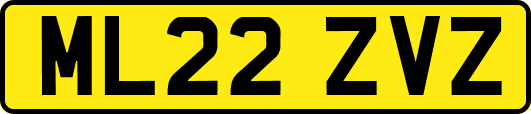 ML22ZVZ