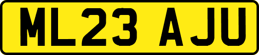 ML23AJU