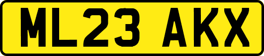 ML23AKX