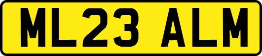 ML23ALM