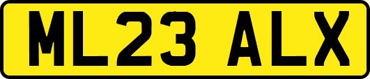 ML23ALX