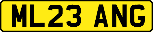 ML23ANG