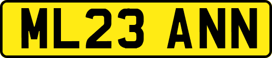 ML23ANN