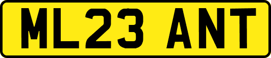 ML23ANT