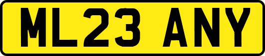 ML23ANY