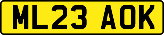 ML23AOK