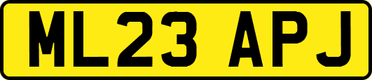 ML23APJ
