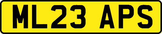 ML23APS