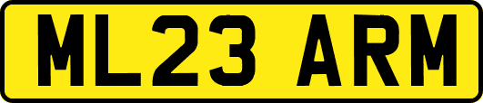ML23ARM