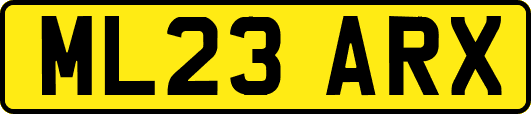 ML23ARX