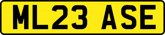 ML23ASE