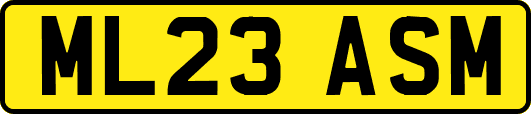 ML23ASM