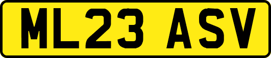 ML23ASV