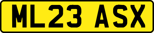 ML23ASX
