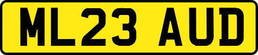 ML23AUD