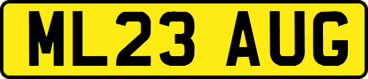 ML23AUG