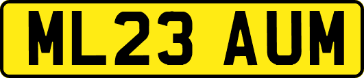ML23AUM