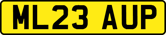 ML23AUP