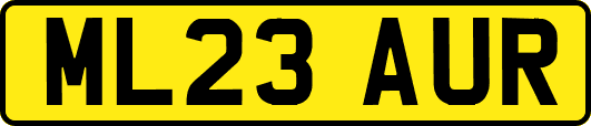 ML23AUR