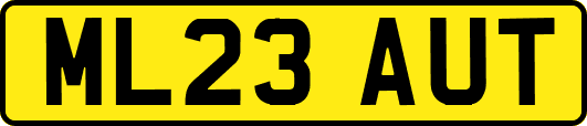 ML23AUT