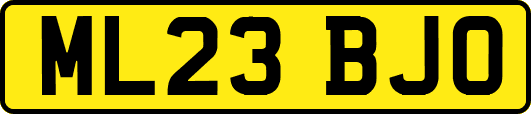 ML23BJO