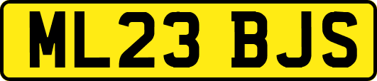 ML23BJS