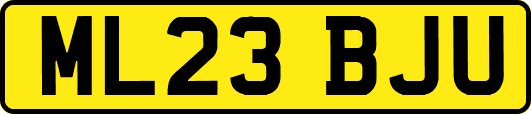 ML23BJU