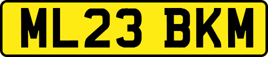 ML23BKM