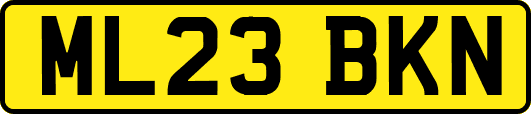 ML23BKN