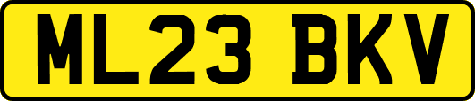 ML23BKV