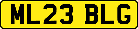 ML23BLG
