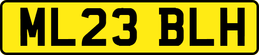 ML23BLH