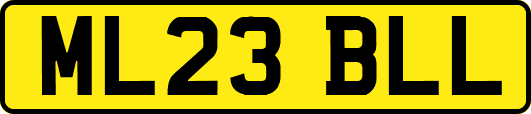 ML23BLL